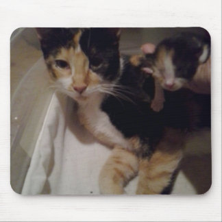 Mama and Baby Mouse Pad