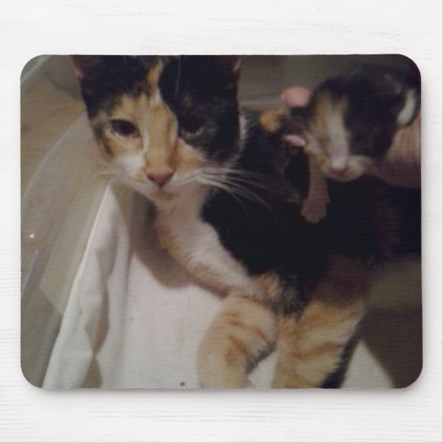 Mama and Baby Mouse Pad (Front)