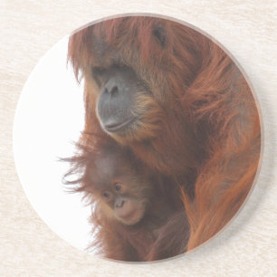 Mama and baby Orangutan Coaster