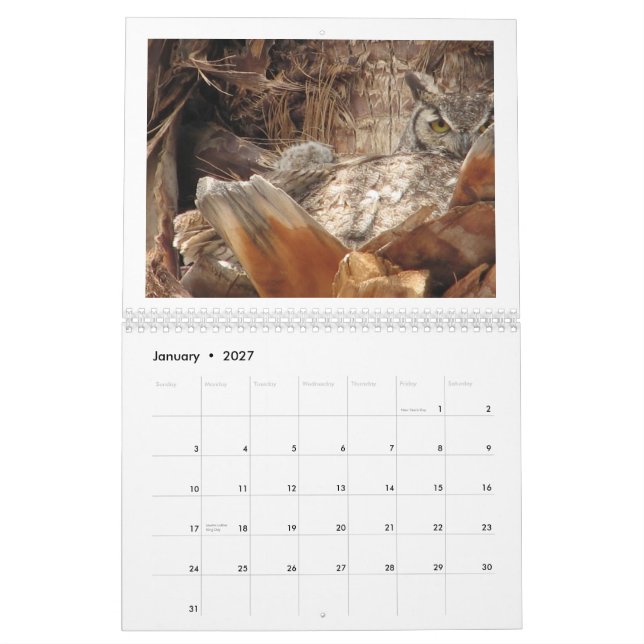 Mama And Baby Owls In A Palm Tree Calendar (Jan 2027)