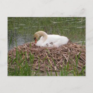 Mama and Little Ones Postcard (2)