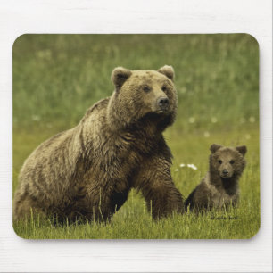 Mama bear and cub mouse mat