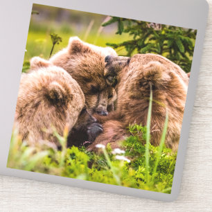 Mama bear nursing her two cubs, Lake Clark Nationa