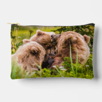Mama bear nursing her two cubs, Lake Clark Nationa