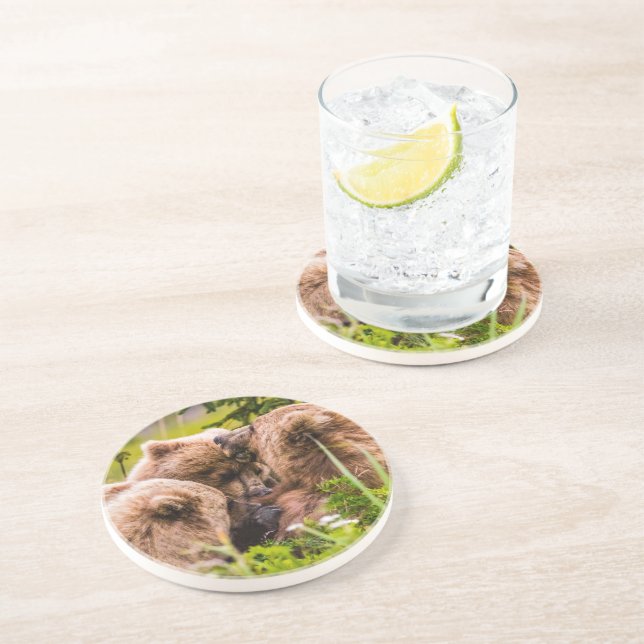 Mama bear nursing her two cubs, Lake Clark Nationa Coaster (Side)