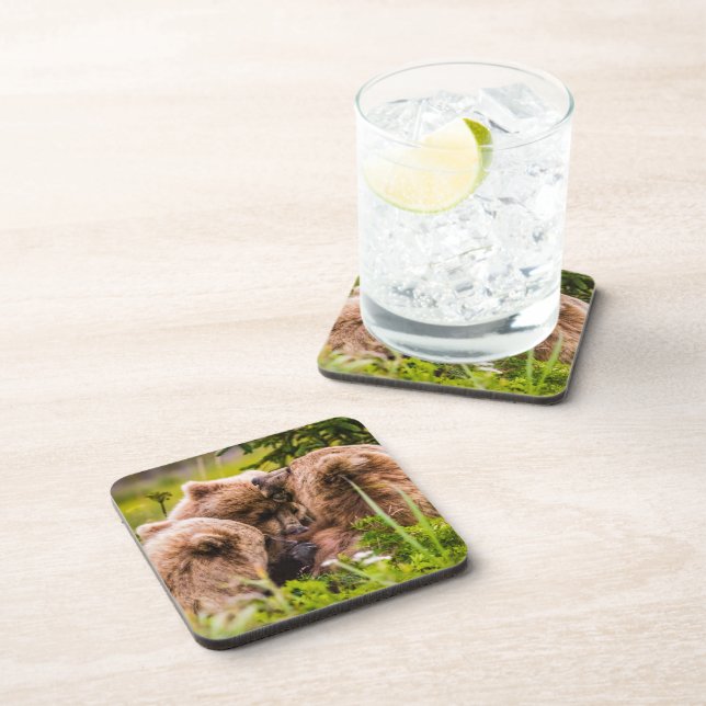 Mama bear nursing her two cubs, Lake Clark Nationa Coaster (Right Side)