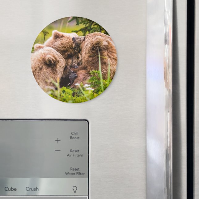 Mama bear nursing her two cubs, Lake Clark Nationa Magnet (In Situ (Fridge))