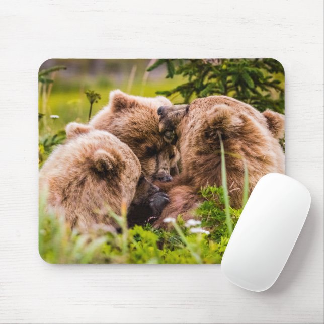 Mama bear nursing her two cubs, Lake Clark Nationa Mouse Mat (With Mouse)