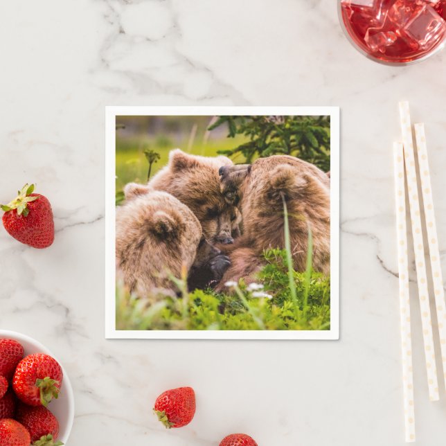 Mama bear nursing her two cubs, Lake Clark Nationa Napkin (Insitu)