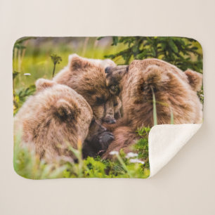 Mama bear nursing her two cubs, Lake Clark Nationa Sherpa Blanket