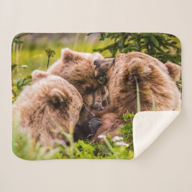 Mama bear nursing her two cubs, Lake Clark Nationa Sherpa Blanket (Front (Horizontal))
