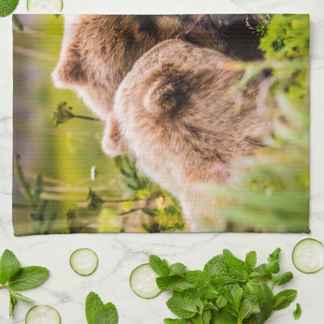 Mama bear nursing her two cubs, Lake Clark Nationa Tea Towel (Folded)