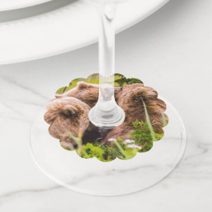 Mama bear nursing her two cubs, Lake Clark Nationa Wine Glass Tag