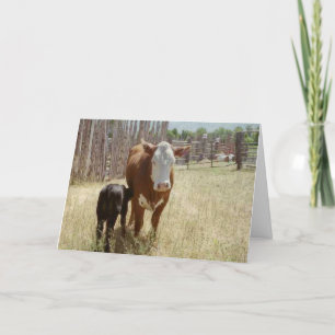 Mama Cow And Calf Thank You Card