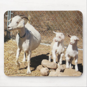 Mama Doe and Kids - Pygmy Goat Family - Western Mouse Mat