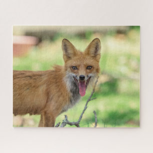 Mama Fox in the Hudson Valley Jigsaw Puzzle