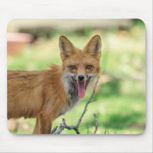 Mama Fox in the Hudson Valley Mouse Mat