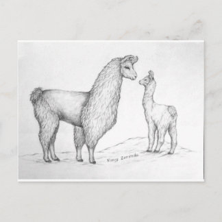 Mama Llama and Cria Postcard