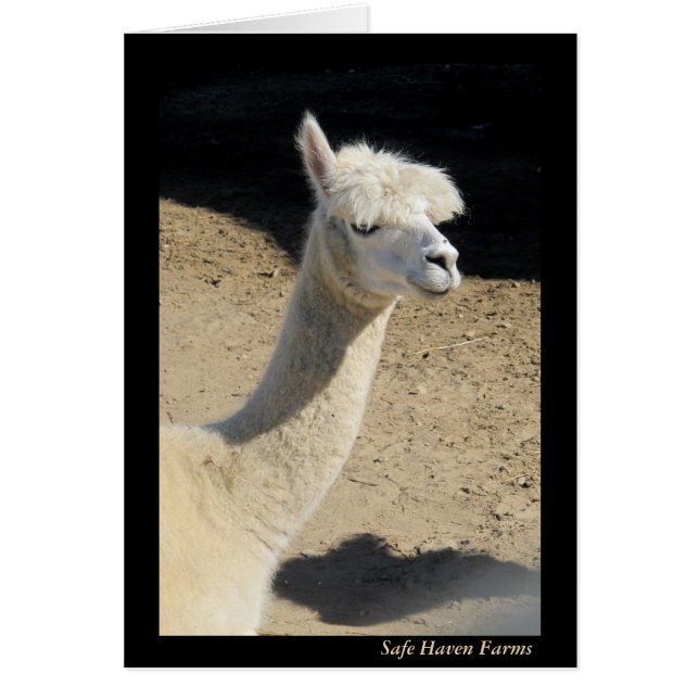 Mama Llama Note Card (Front)