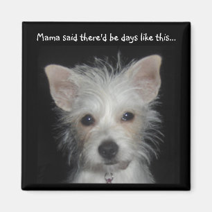 Mama said there'd be days like this dog magnet