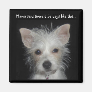 Mama said there'd be days like this dog magnet