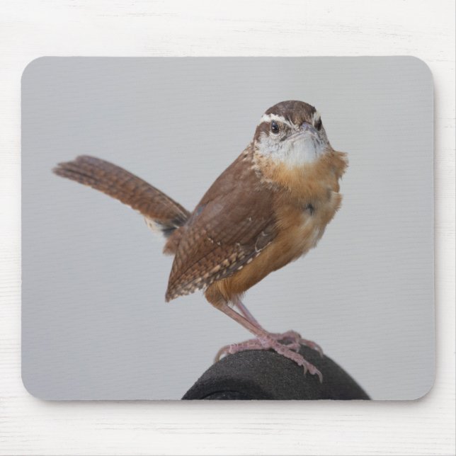 Mama Wren Mouse Mat (Front)