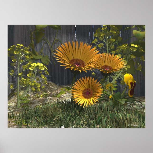 Mama's Pleasure Garden Poster (Front)