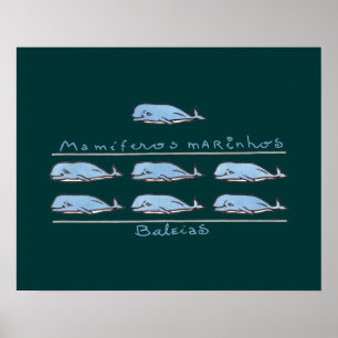 mamíferos marinhos - baleias poster