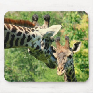 mamma and baby giraffe mousepad