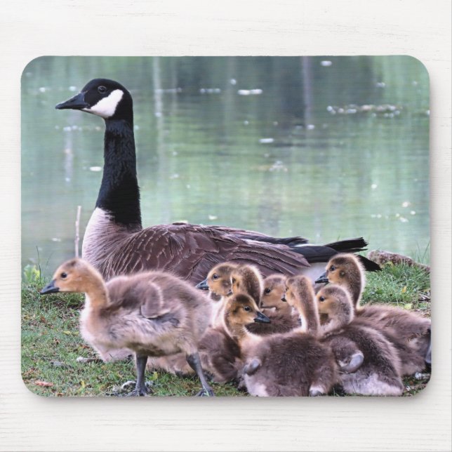 Mamma Goose and Babies Mouse Mat (Front)