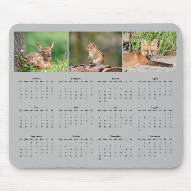 Mammals with a full year 2025 calendar mouse mat (Front)