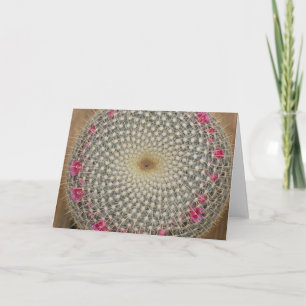Mammillaria card