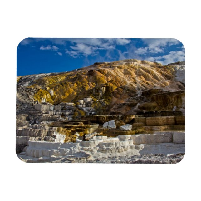Mammoth Hot Spring Magnet (Horizontal)