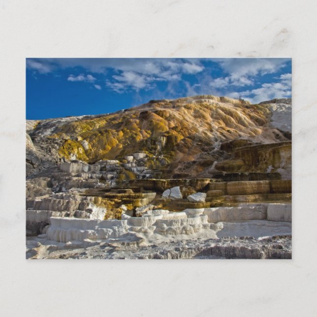 Mammoth Hot Spring Postcard (Front)