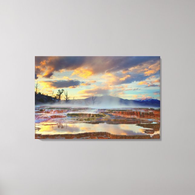 Mammoth Hot Springs Canvas Print (Front)