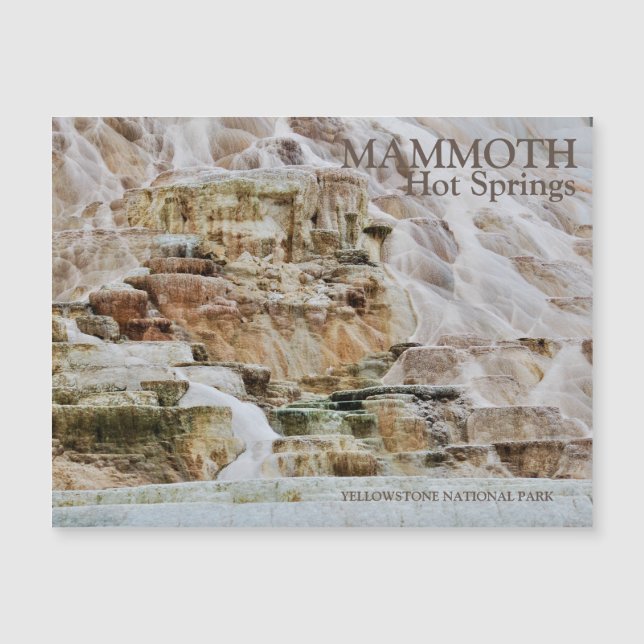 Mammoth Hot Springs Yellowstone National Park (Front)