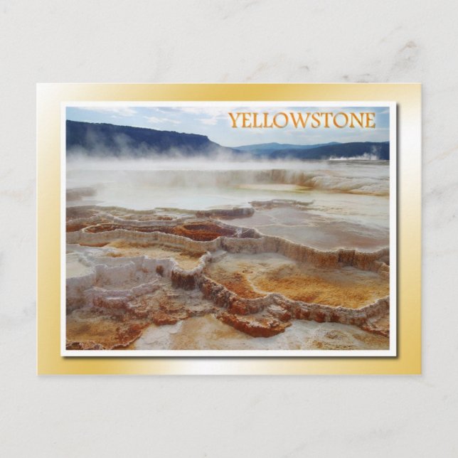 Mammoth Hot Springs, Yellowstone National Park Postcard (Front)