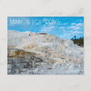Mammoth Hot Springs Yellowstone National Park Postcard
