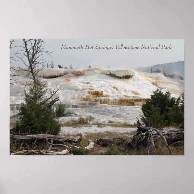 Mammoth Hot Springs, Yellowstone National Park Poster (Front)