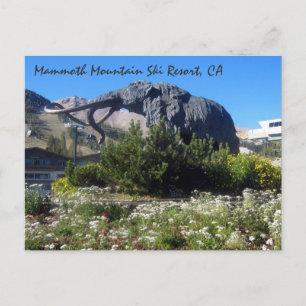Mammoth Mountain Ski Resort, CA Postcard