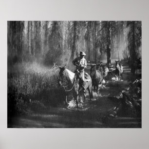 Mammoth Mules Poster