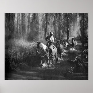 Mammoth Mules Poster