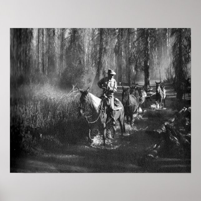 Mammoth Mules Poster (Front)