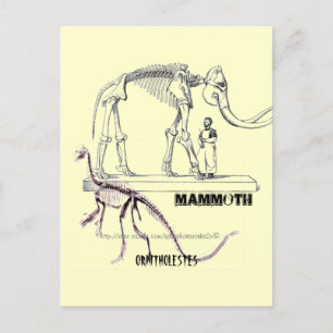 "Mammoth" Postcard