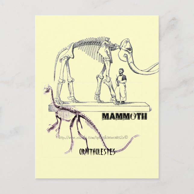 "Mammoth" Postcard (Front)