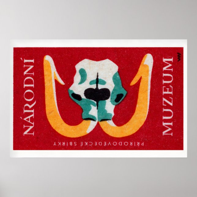 Mammoth Skull - Matchbox Print - Czech Wall Art (Front)