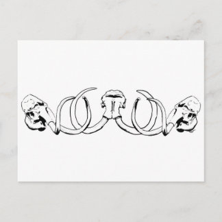 Mammoth Skull Postcard