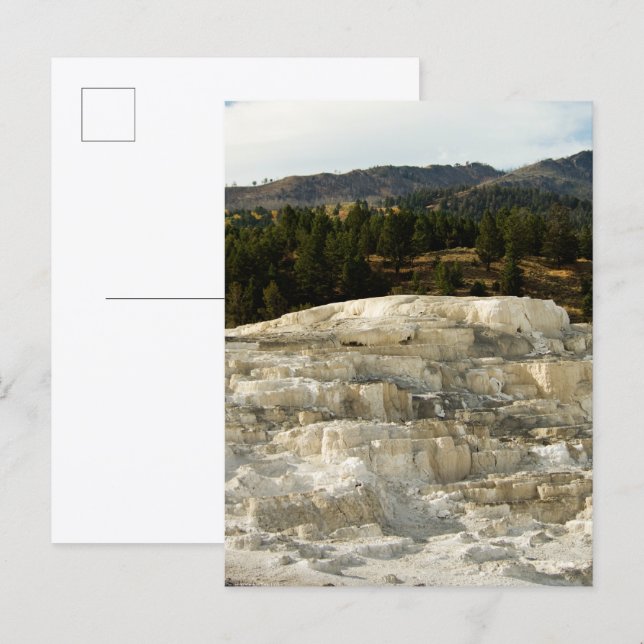 Mammoth Steps 2008 Postcard (Front/Back)