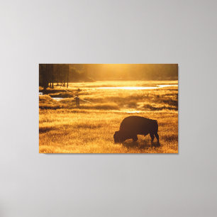 Man and Beast Canvas Print
