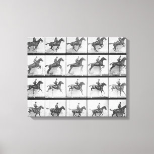 Man and horse jumping a fence, plate 640 from 'Ani Canvas Print